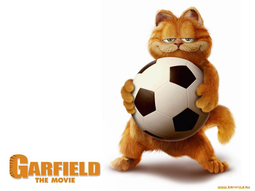 , garfield